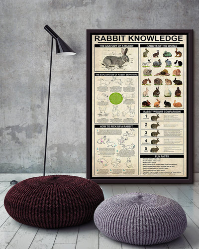 Rabbit Basic Information Animal Knowledge Wall Art For Homeschool Home Decor Framed Canvas Framed Prints, Canvas