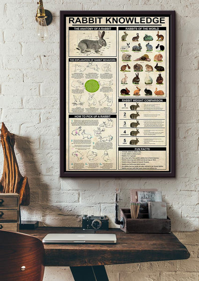 Rabbit Basic Information Animal Knowledge Wall Art For Homeschool Home Decor Framed Canvas Framed Prints, Canvas