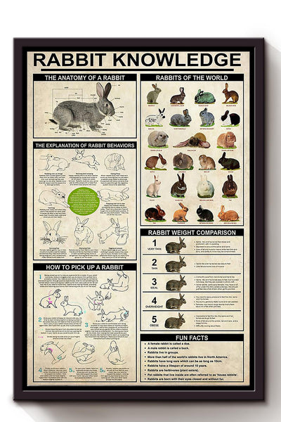 Rabbit Basic Information Animal Knowledge Wall Art For Homeschool Home Decor Framed Canvas Framed Prints, Canvas