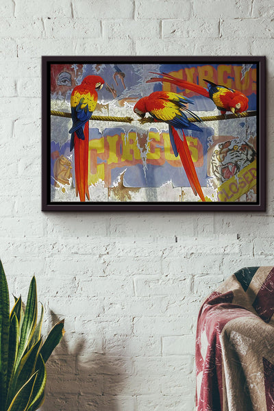 Parrot Colorful Poster n Framed Matte Canvas