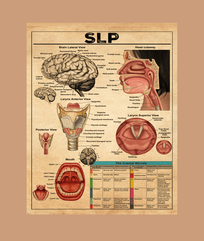Speech Language Pathologists Slp Knowledge Poster Framed Matte Canvas
