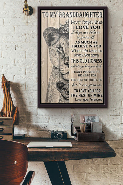 To My Granddaughter Lion Poster Framed Matte Canvas