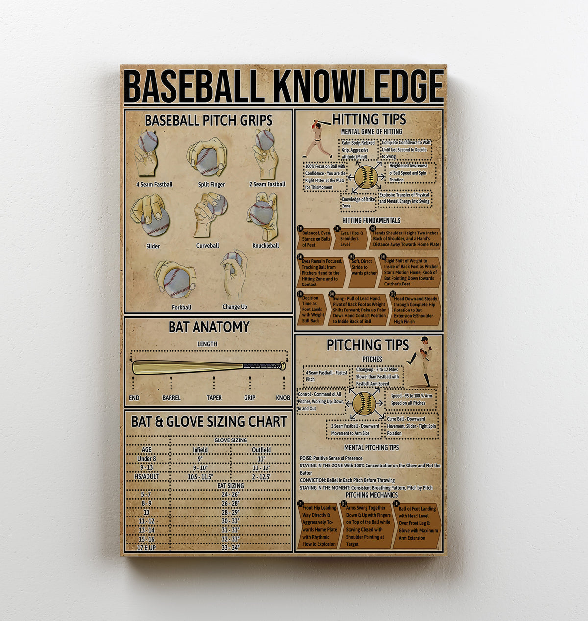 Baseball Knowledge Poster Framed Matte Canvas