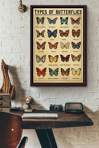 Butterfly Types Of Butterflies Framed Matte Canvas