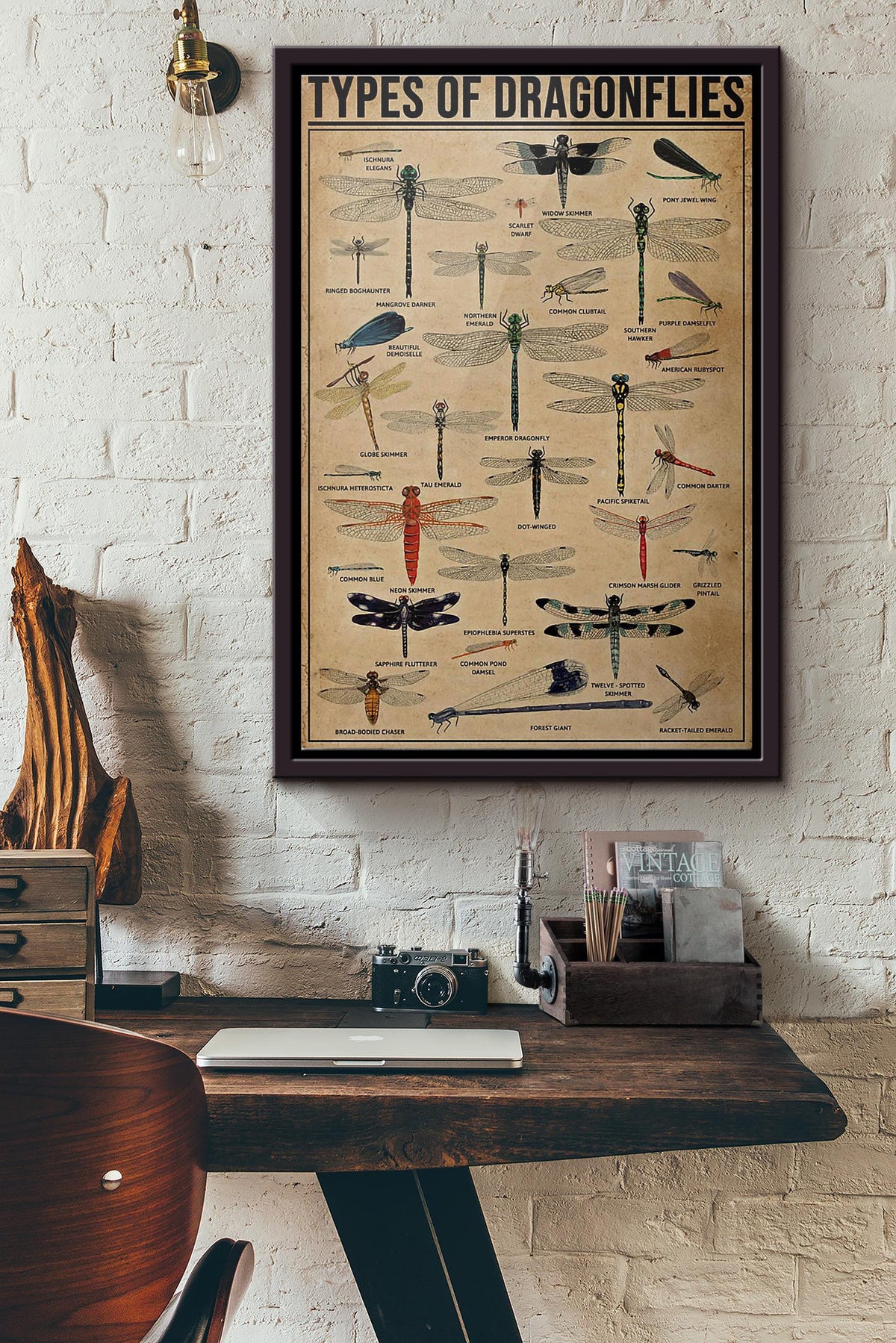 Types Of Dragonflies Poster Framed Matte Canvas