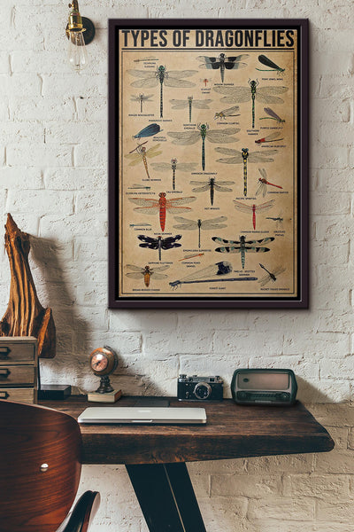 Types Of Dragonflies Poster Framed Matte Canvas