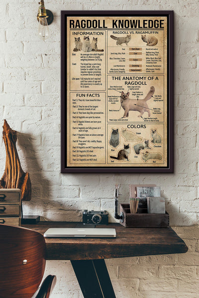 Ragdoll Cat Knowledge Poster Framed Matte Canvas