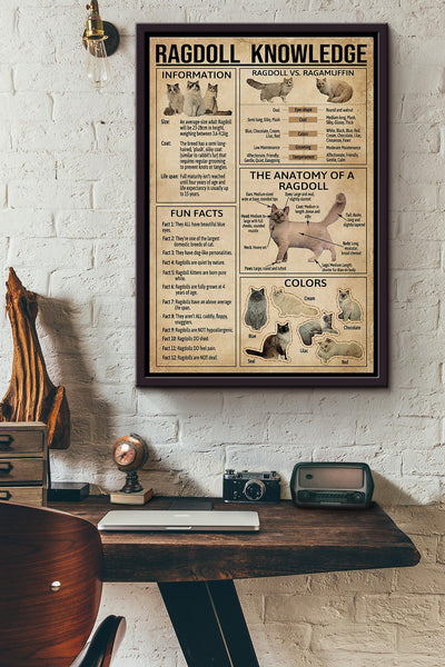 Ragdoll Cat Knowledge Poster Framed Matte Canvas