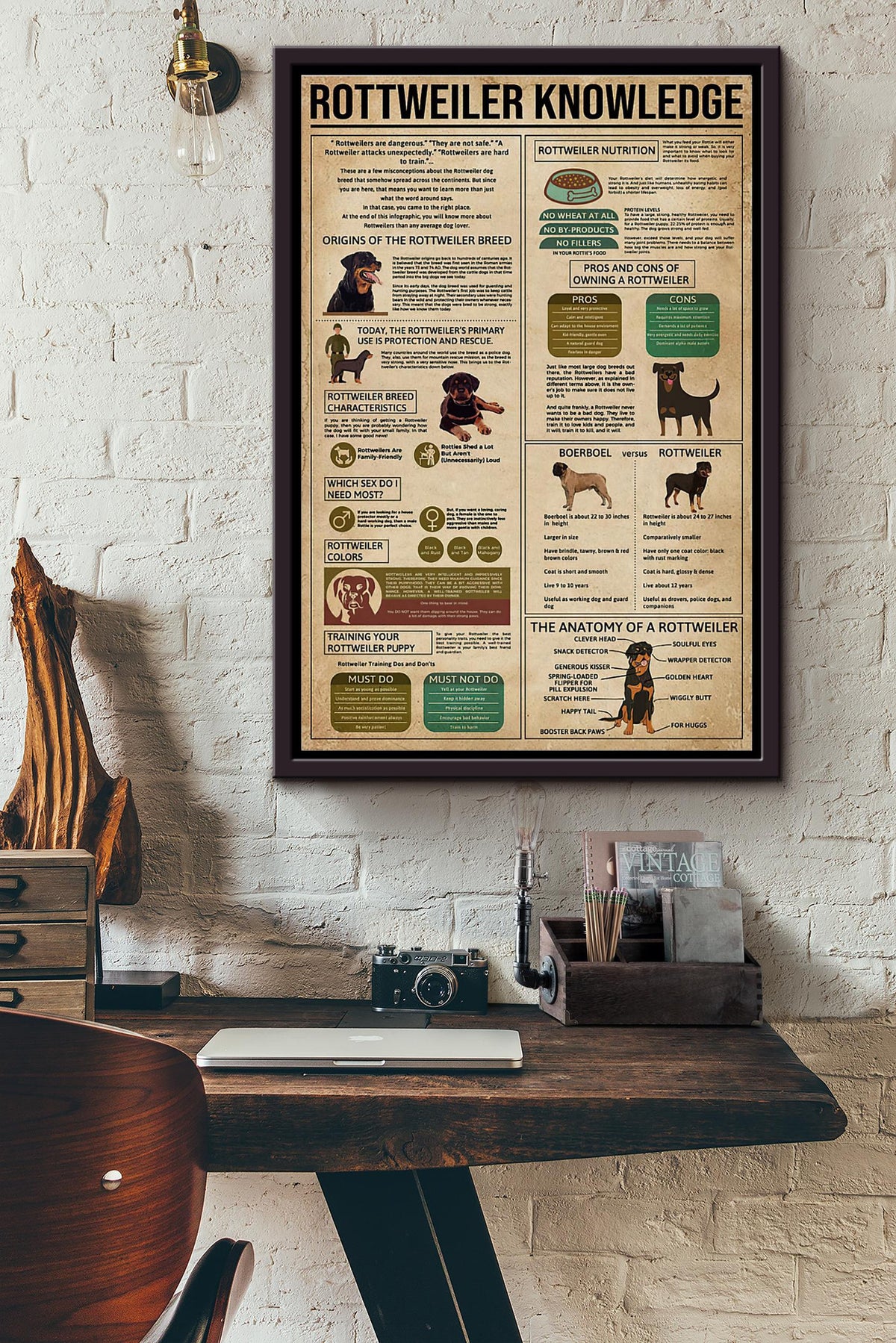 Rottweiler Knowledge Poster Framed Matte Canvas
