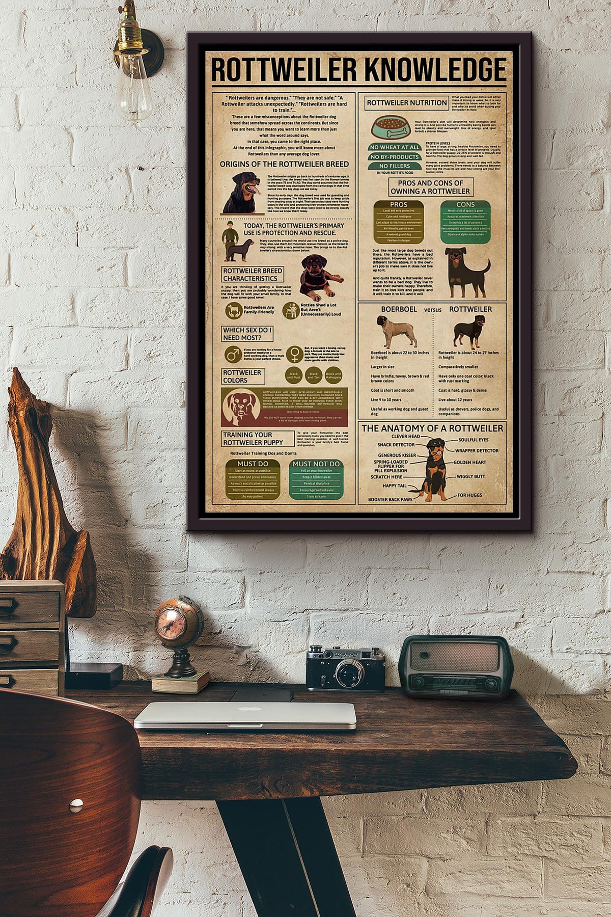 Rottweiler Knowledge Poster Framed Matte Canvas