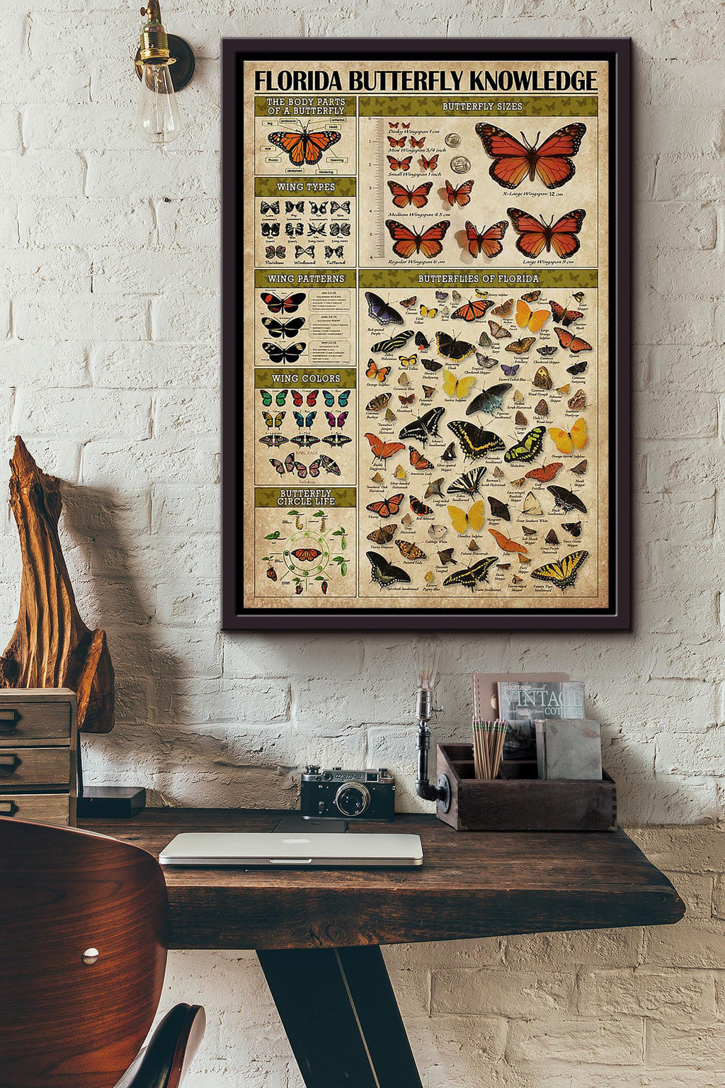Butterfly Florida Butterfly Knowledge Framed Matte Canvas