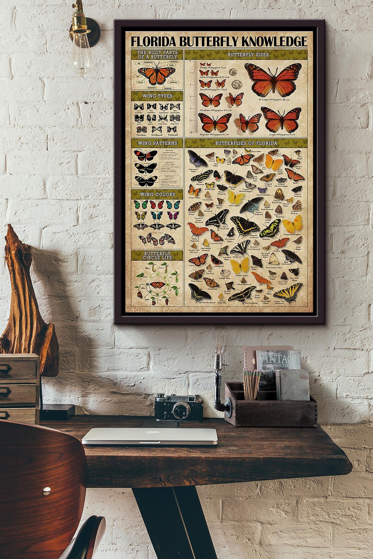 Butterfly Florida Butterfly Knowledge Framed Matte Canvas