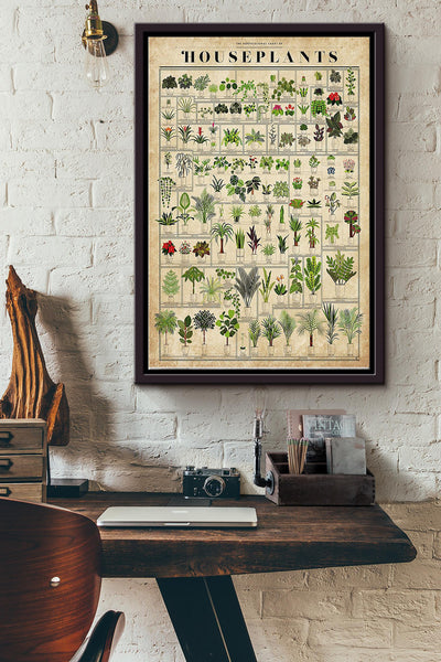 Gardening House Plants Framed Matte Canvas