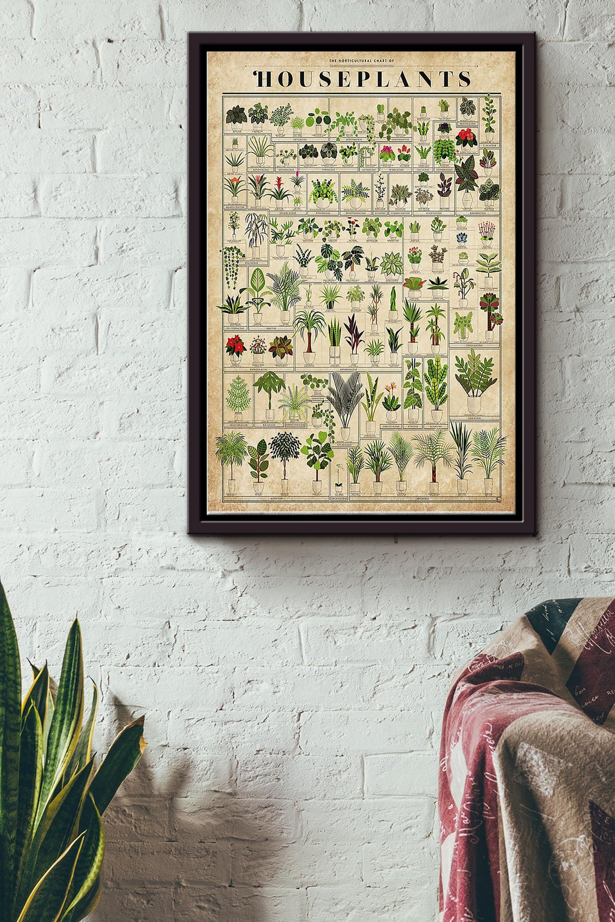 Gardening House Plants Framed Matte Canvas