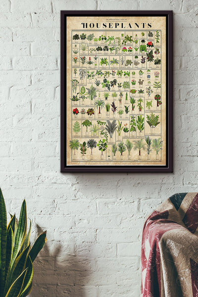 Gardening House Plants Framed Matte Canvas