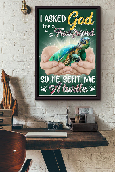 God Send Me A Turtle Gift For You Framed Matte Canvas
