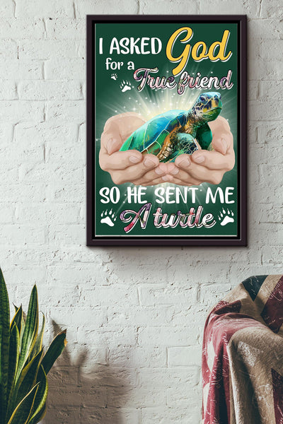 God Send Me A Turtle Gift For You Framed Matte Canvas
