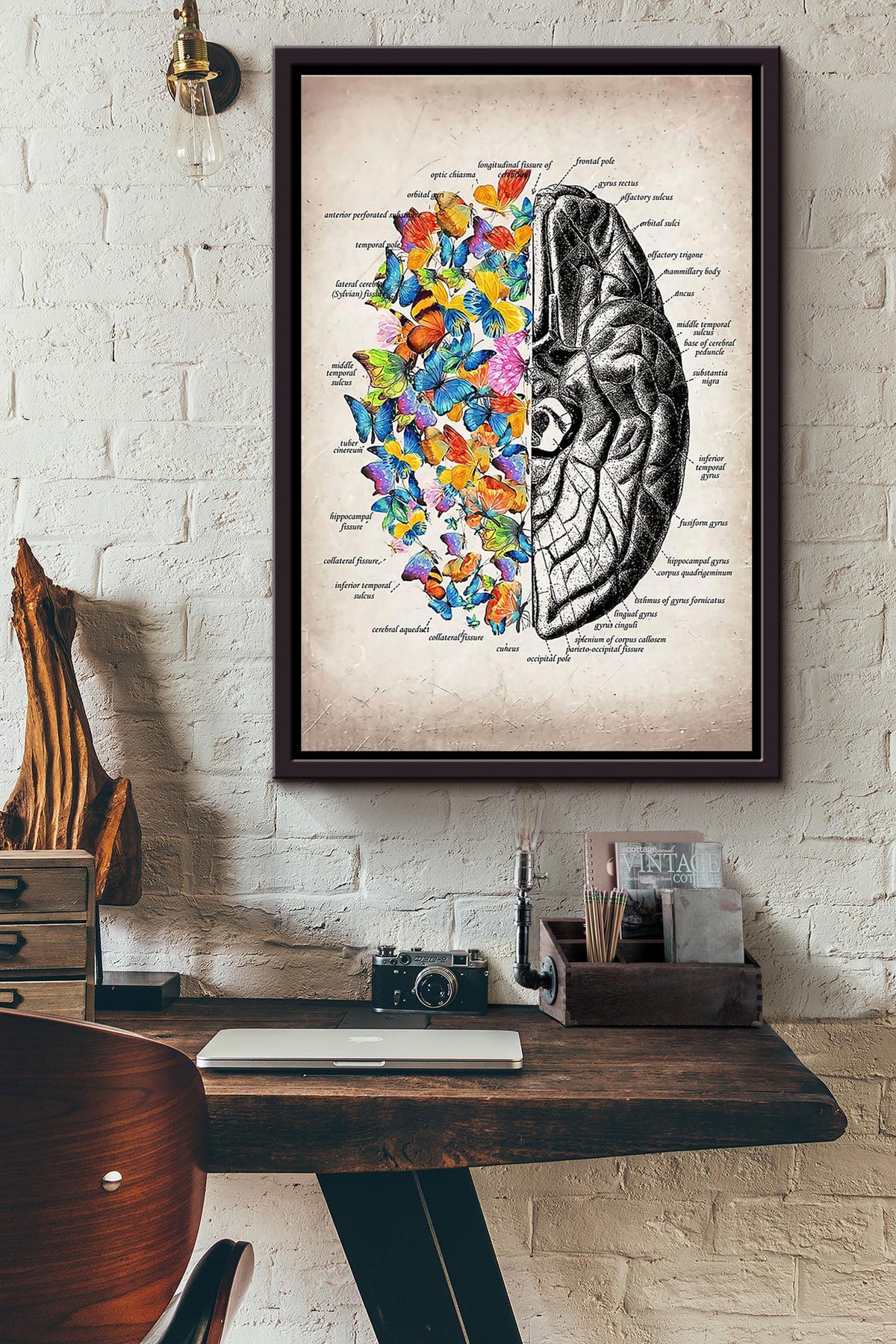 Butterfly Brain Framed Matte Canvas