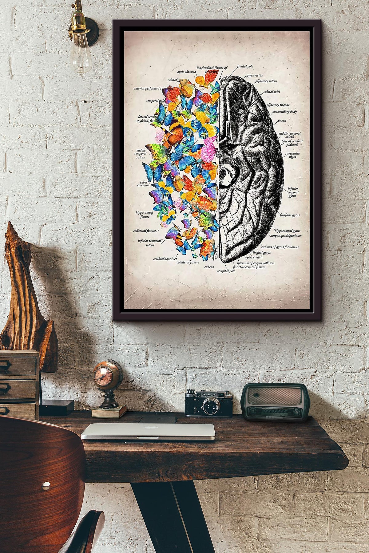 Butterfly Brain Framed Matte Canvas