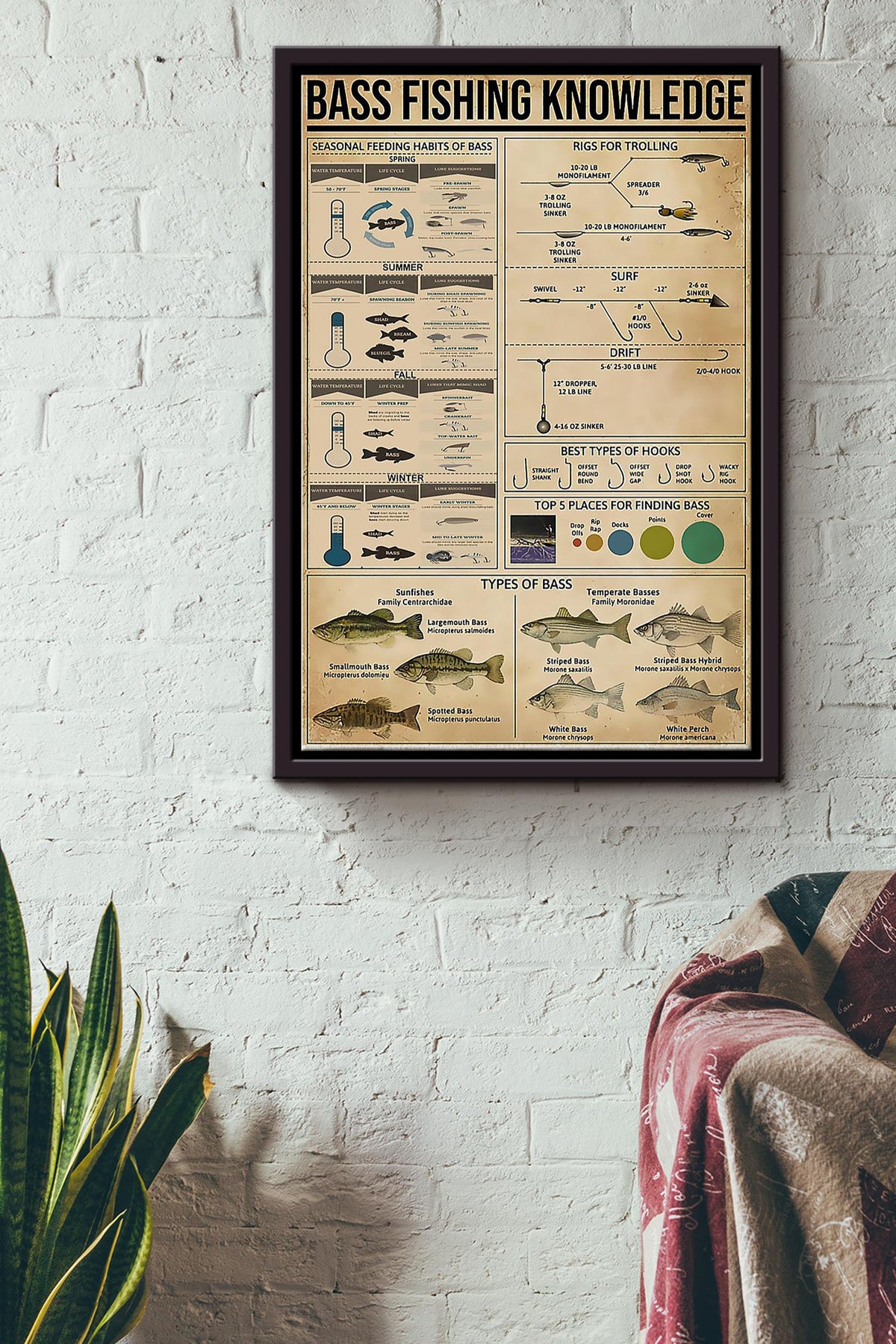 Fishing - Bass Fishing Knowledge Framed Matte Canvas