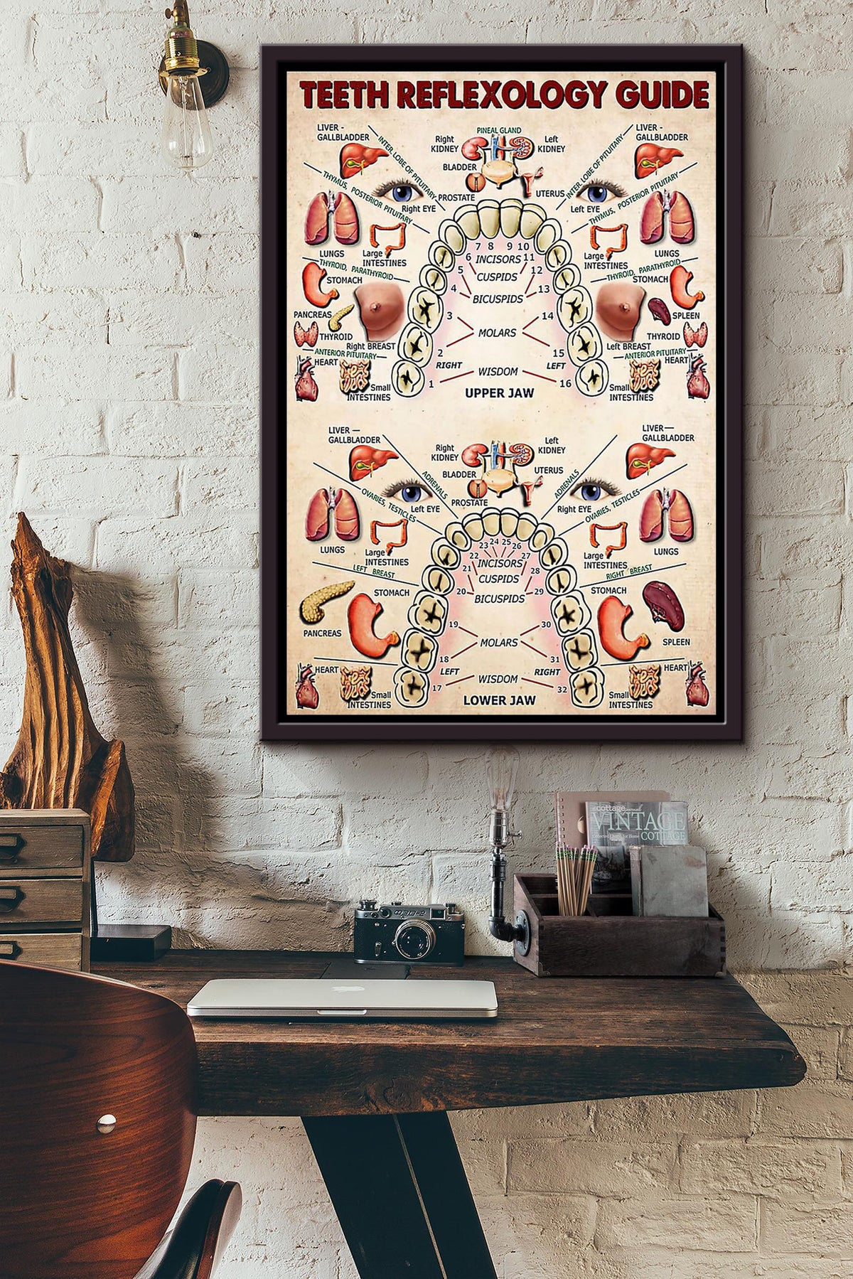 Dentist Teeth Reflexology Guide Poster Framed Matte Canvas