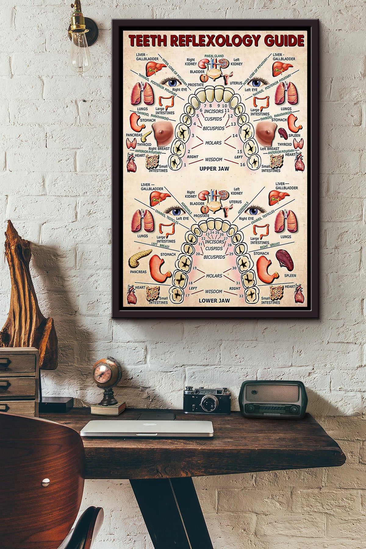 Dentist Teeth Reflexology Guide Poster Framed Matte Canvas
