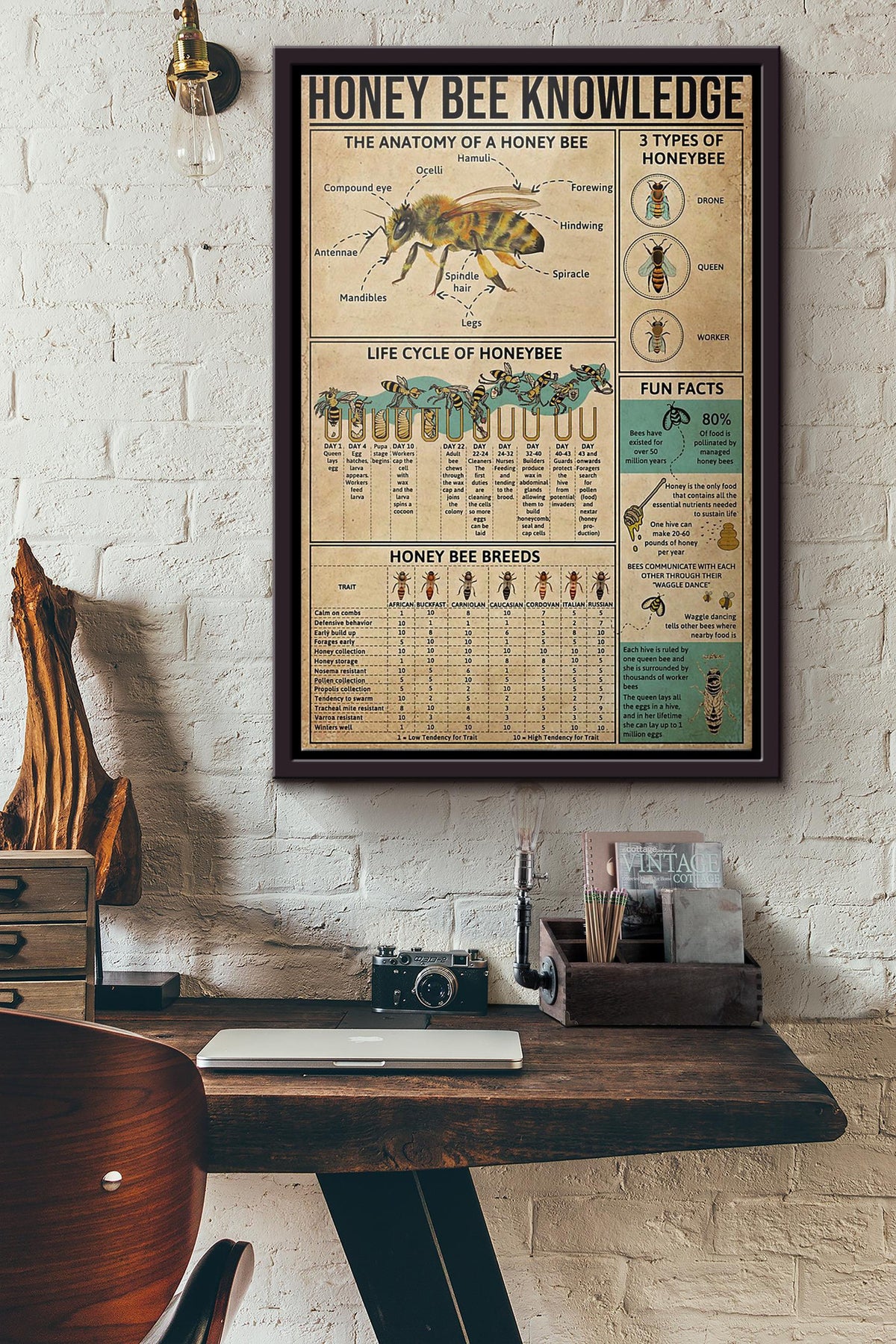 Honey Bee Knowledge Poster Framed Matte Canvas
