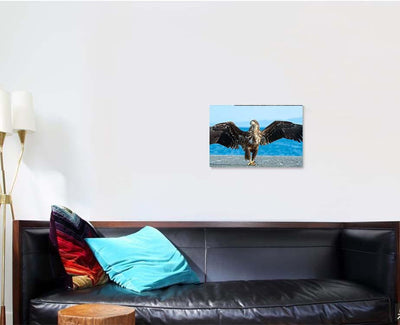 Juvenile White Tailed Eagle Spreading Wings, Eagle Animals Premium Multi Canvas Prints, Multi Piece Panel Canvas Home Decor, Luxury Gallery Wall Fine Art