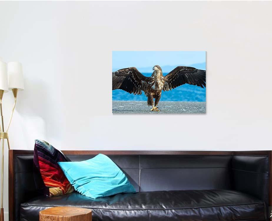 Juvenile White Tailed Eagle Spreading Wings, Eagle Animals Premium Multi Canvas Prints, Multi Piece Panel Canvas Home Decor, Luxury Gallery Wall Fine Art