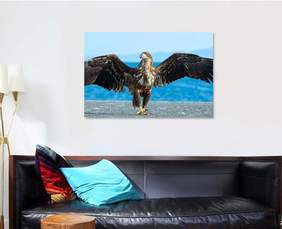 Juvenile White Tailed Eagle Spreading Wings, Eagle Animals Premium Multi Canvas Prints, Multi Piece Panel Canvas Home Decor, Luxury Gallery Wall Fine Art