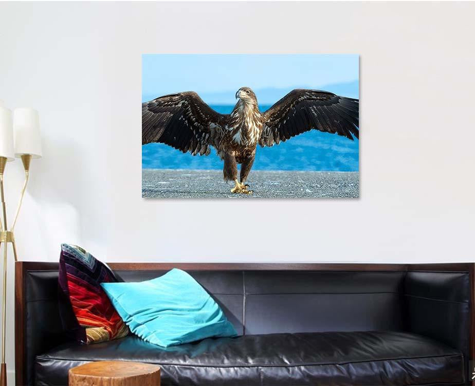 Juvenile White Tailed Eagle Spreading Wings, Eagle Animals Premium Multi Canvas Prints, Multi Piece Panel Canvas Home Decor, Luxury Gallery Wall Fine Art