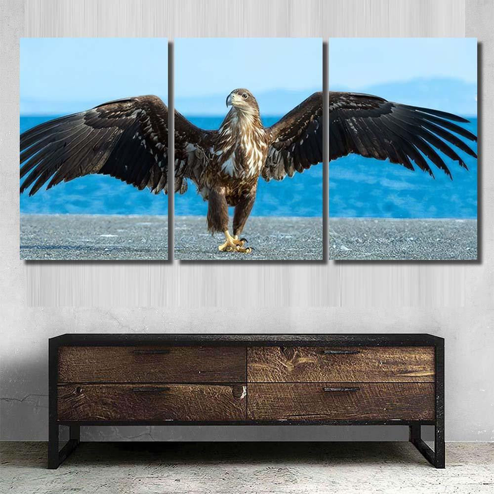 Juvenile White Tailed Eagle Spreading Wings, Eagle Animals Premium Multi Canvas Prints, Multi Piece Panel Canvas Home Decor, Luxury Gallery Wall Fine Art