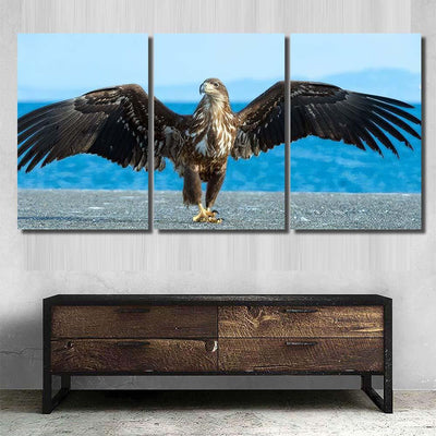 Juvenile White Tailed Eagle Spreading Wings, Eagle Animals Premium Multi Canvas Prints, Multi Piece Panel Canvas Home Decor, Luxury Gallery Wall Fine Art