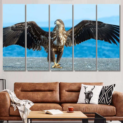 Juvenile White Tailed Eagle Spreading Wings, Eagle Animals Premium Multi Canvas Prints, Multi Piece Panel Canvas Home Decor, Luxury Gallery Wall Fine Art