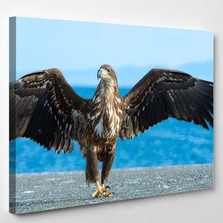 Juvenile White Tailed Eagle Spreading Wings, Eagle Animals Premium Multi Canvas Prints, Multi Piece Panel Canvas Home Decor, Luxury Gallery Wall Fine Art