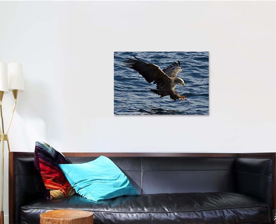 Whitetailed Eagle Flight Fishing Haliaeetus Albicilla, Eagle Animals Premium Multi Canvas Prints, Multi Piece Panel Canvas Home Decor, Luxury Gallery Wall Fine Art