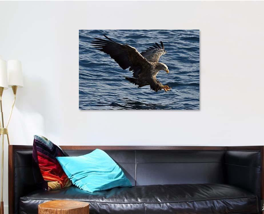 Whitetailed Eagle Flight Fishing Haliaeetus Albicilla, Eagle Animals Premium Multi Canvas Prints, Multi Piece Panel Canvas Home Decor, Luxury Gallery Wall Fine Art