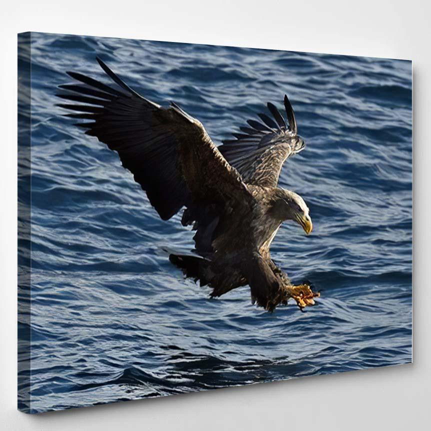 Whitetailed Eagle Flight Fishing Haliaeetus Albicilla, Eagle Animals Premium Multi Canvas Prints, Multi Piece Panel Canvas Home Decor, Luxury Gallery Wall Fine Art