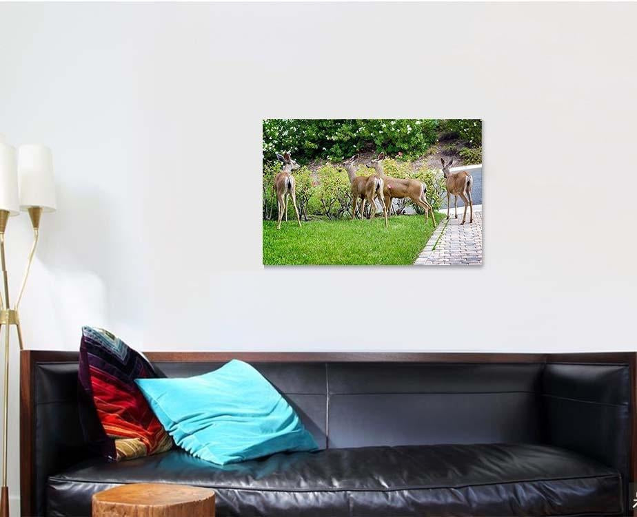 Family Deer Eating Rose Bushes Suburban Deer Animals Premium Multi Canvas Prints, Multi Piece Panel Canvas Luxury Gallery Wall Fine Art Print