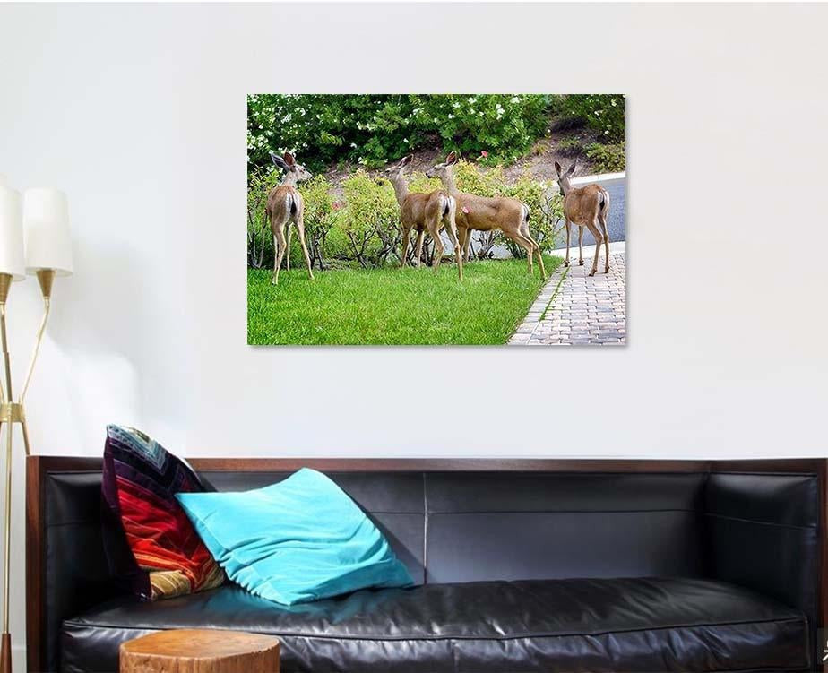 Family Deer Eating Rose Bushes Suburban Deer Animals Premium Multi Canvas Prints, Multi Piece Panel Canvas Luxury Gallery Wall Fine Art Print