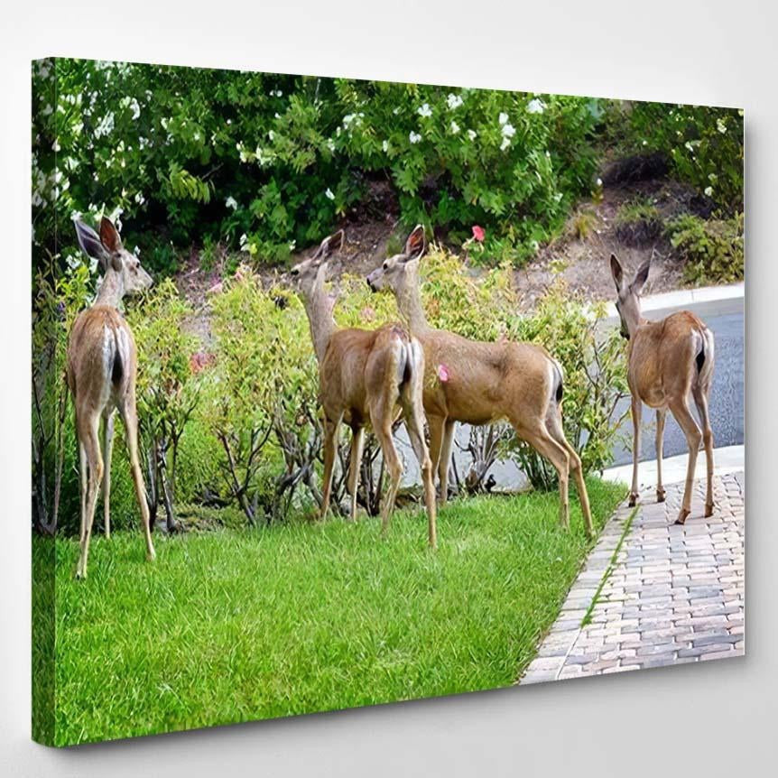 Family Deer Eating Rose Bushes Suburban Deer Animals Premium Multi Canvas Prints, Multi Piece Panel Canvas Luxury Gallery Wall Fine Art Print