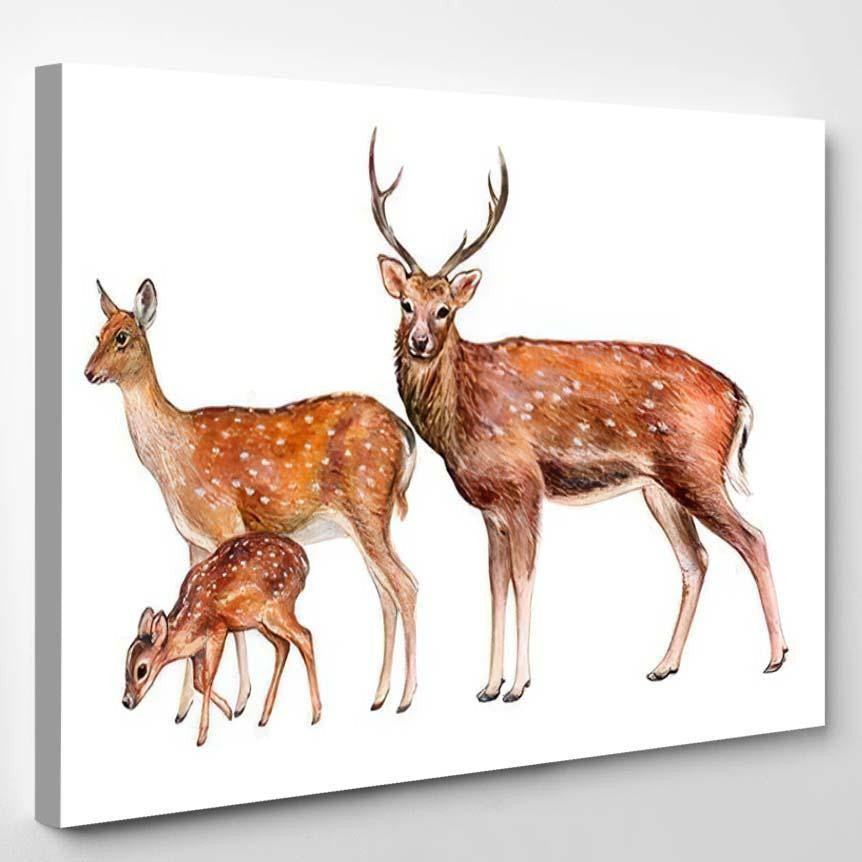 Spotted Deer Family Female Male Fawn Deer Animals Premium Multi Canvas Prints, Multi Piece Panel Canvas Luxury Gallery Wall Fine Art Print