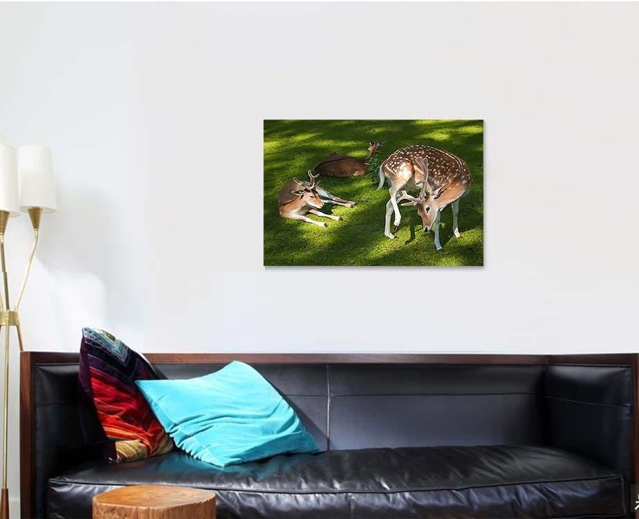 Family Happy Roe Deer Grass Deer Animals Premium Multi Canvas Prints, Multi Piece Panel Canvas Luxury Gallery Wall Fine Art Print