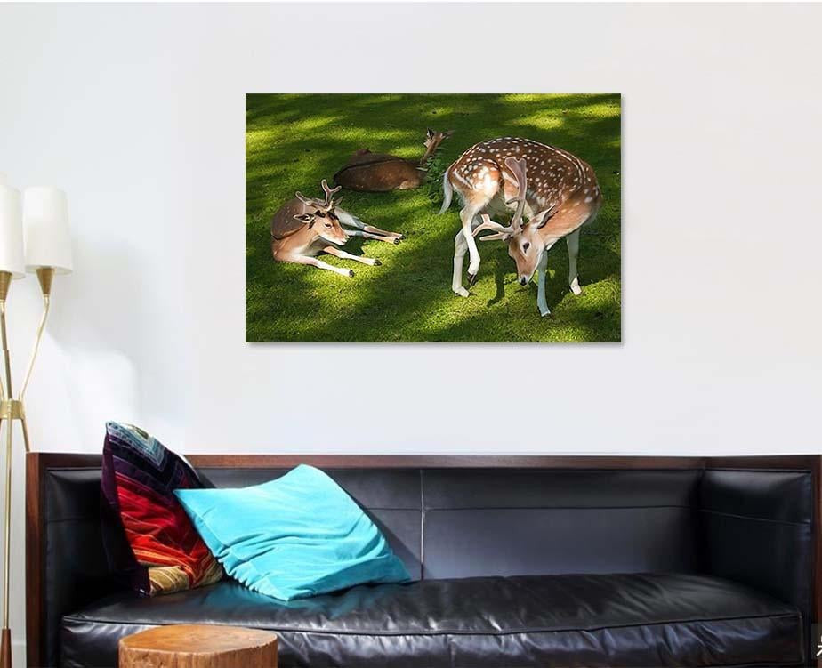Family Happy Roe Deer Grass Deer Animals Premium Multi Canvas Prints, Multi Piece Panel Canvas Luxury Gallery Wall Fine Art Print
