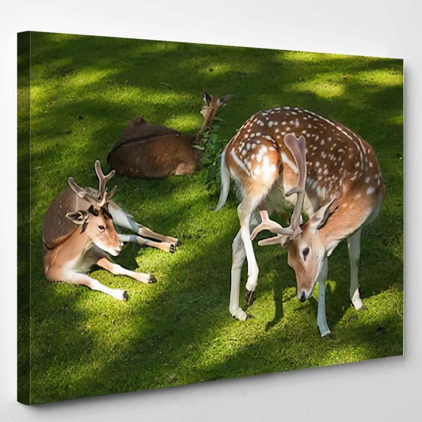 Family Happy Roe Deer Grass Deer Animals Premium Multi Canvas Prints, Multi Piece Panel Canvas Luxury Gallery Wall Fine Art Print