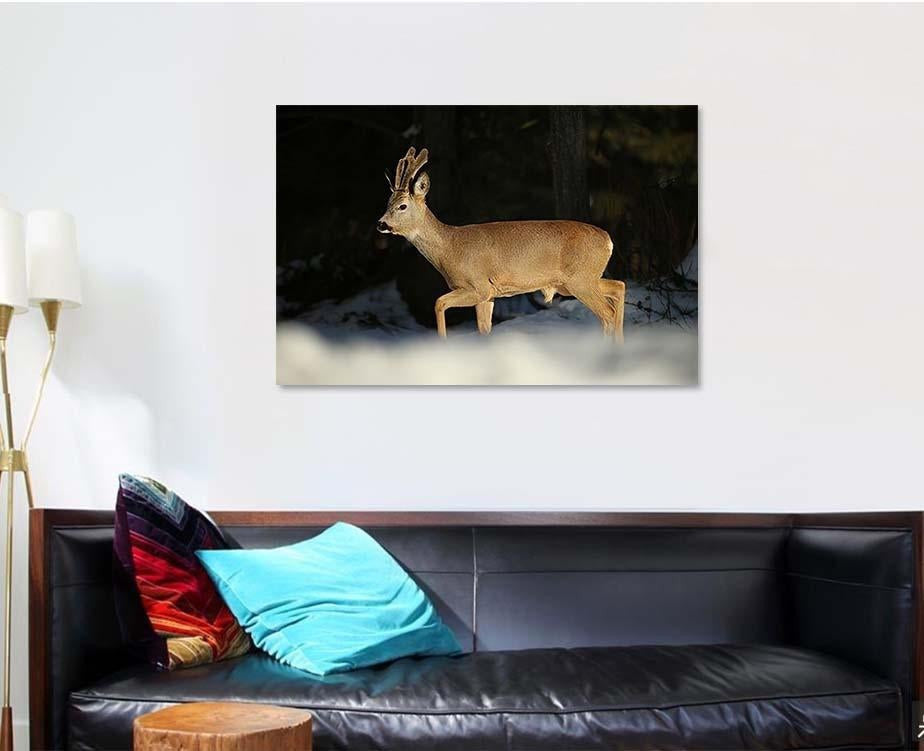 European Roe Deercapreolus Capreolus Growing New Deer Animals Premium Multi Canvas Prints, Multi Piece Panel Canvas Luxury Gallery Wall Fine Art Print