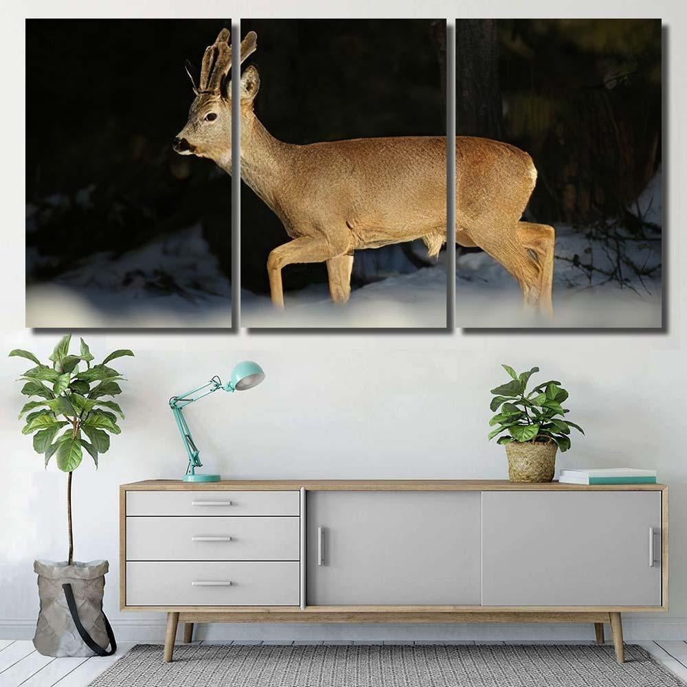 European Roe Deercapreolus Capreolus Growing New Deer Animals Premium Multi Canvas Prints, Multi Piece Panel Canvas Luxury Gallery Wall Fine Art Print