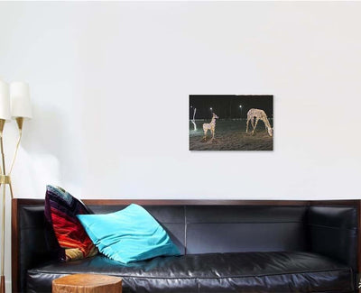 Christmas Illumination Deer Family Evening 1 Deer Animals Premium Multi Canvas Prints, Multi Piece Panel Canvas Luxury Gallery Wall Fine Art Print