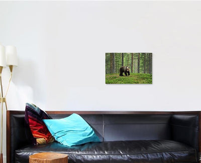 European Brown Bear Forest Landscape Bear Animals Luxury Multi Canvas Prints, Multi Piece Panel Canvas Gallery Art Print Print