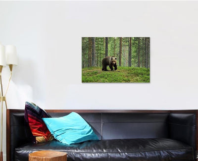 European Brown Bear Forest Landscape Bear Animals Luxury Multi Canvas Prints, Multi Piece Panel Canvas Gallery Art Print Print